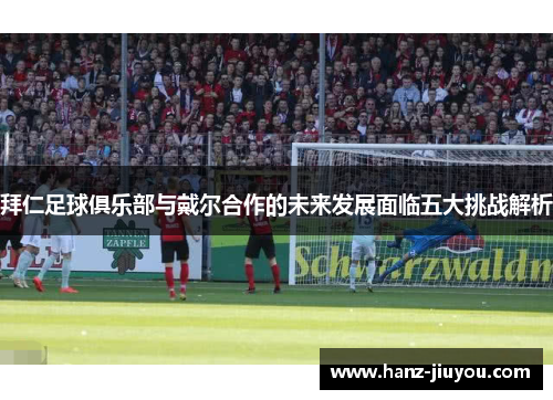 拜仁足球俱乐部与戴尔合作的未来发展面临五大挑战解析